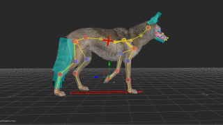 Advanced 3D animal animation prototype