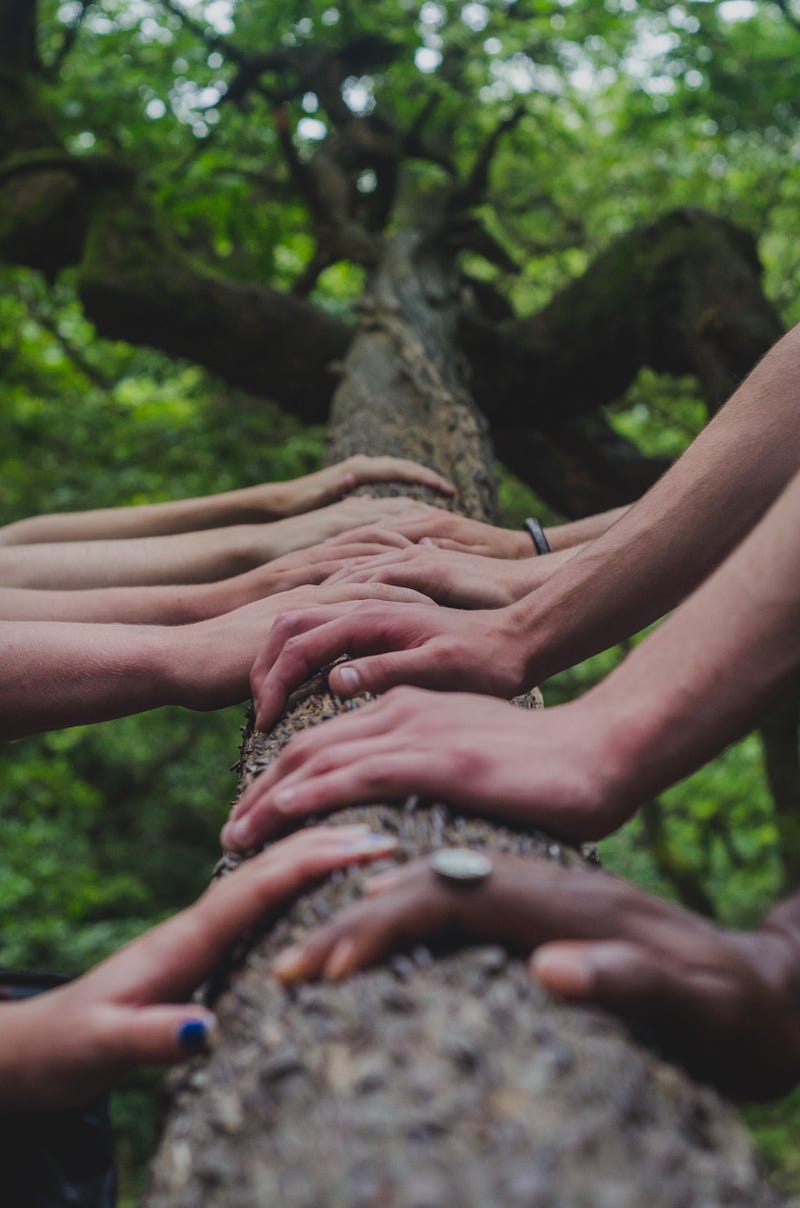 People engaging with nature, illustrating personal responsibility