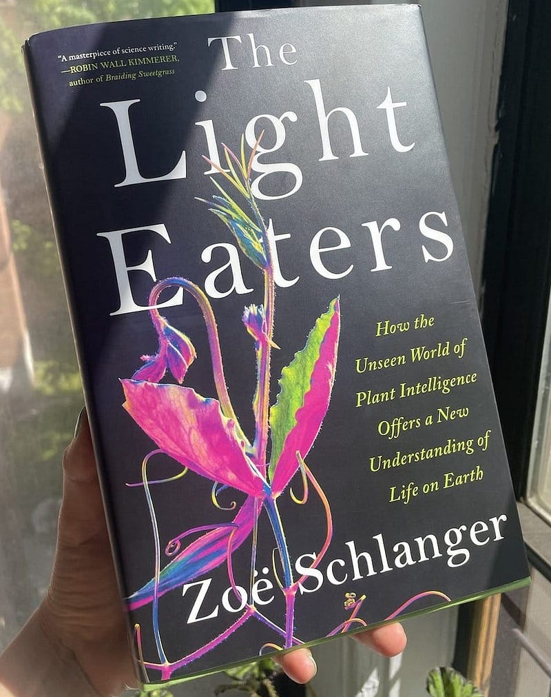 Cover of 'The Light Eaters' by Zoë Schlanger