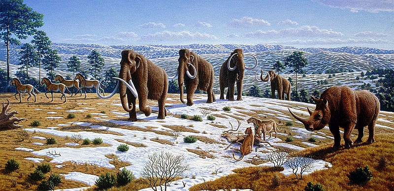 Extinct species of the Younger Dryas period