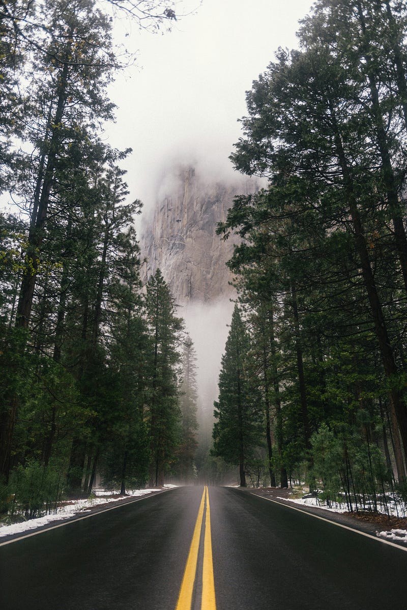 Cars on an open road symbolizing freedom and therapy