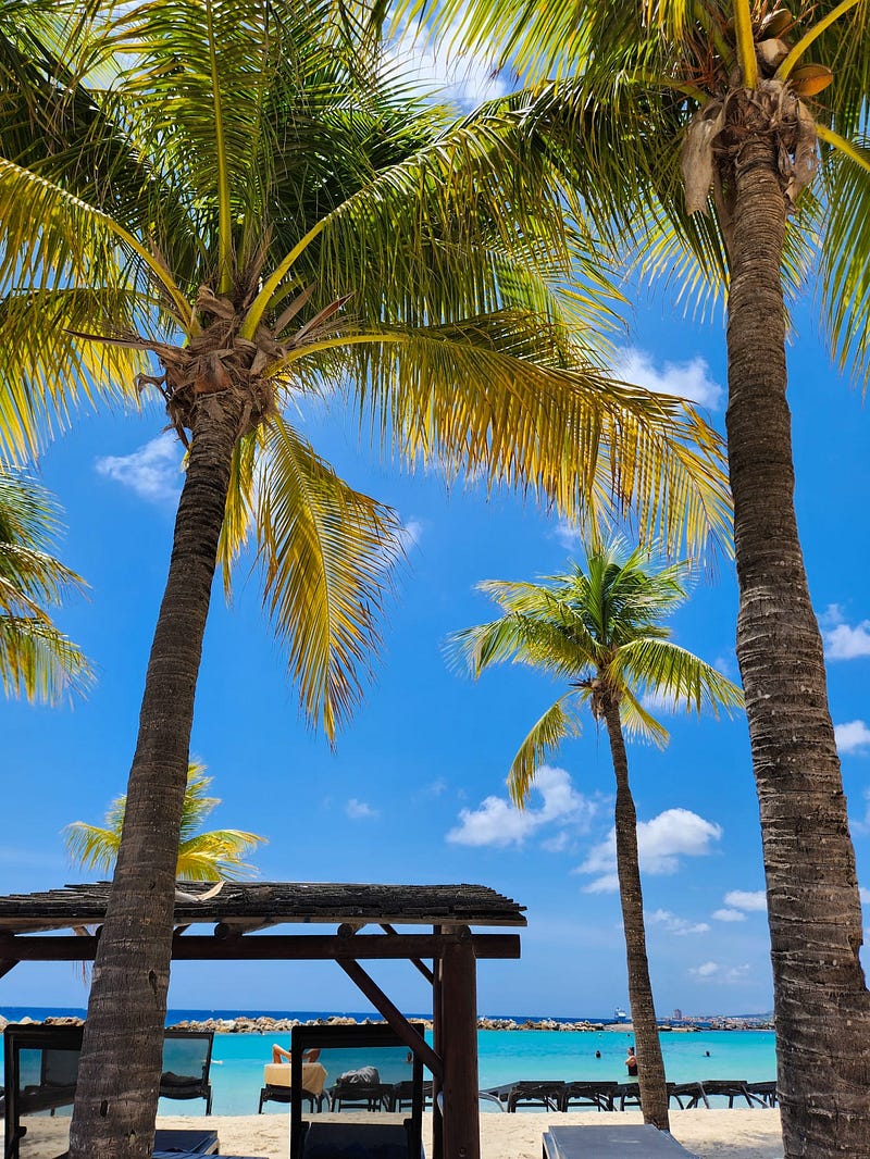 Relaxation during vacation at a tropical resort