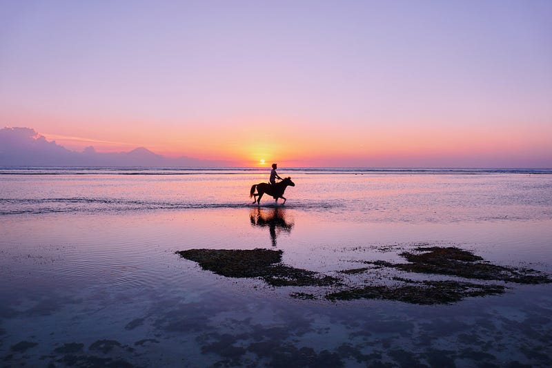 Equestrian journey at sunset