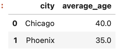 DataFrame with renamed columns for average age.