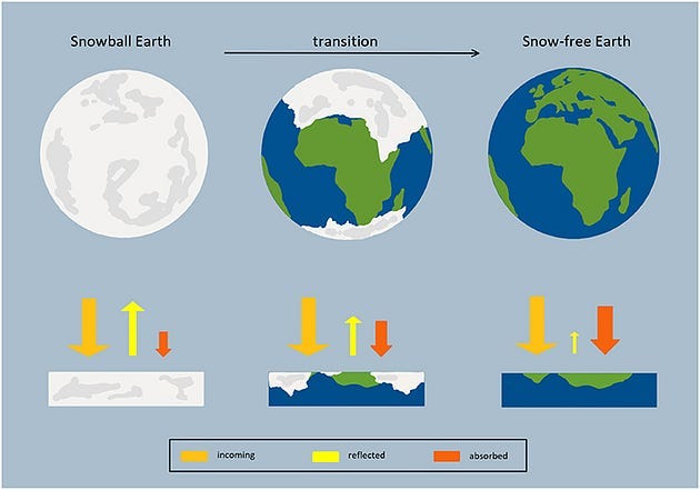 Albedo effect on Earth's climate