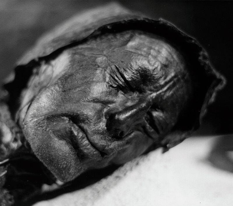 The Tollund Man's head, showcasing remarkable preservation.