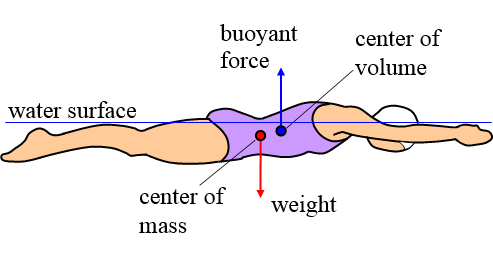 Understanding buoyancy in swimming