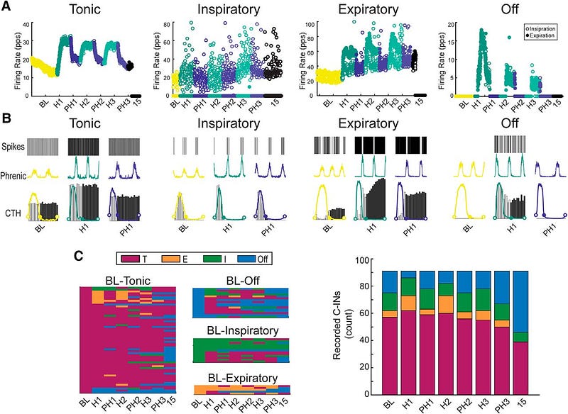 Graph illustrating neuronal function related to hypoxia therapy