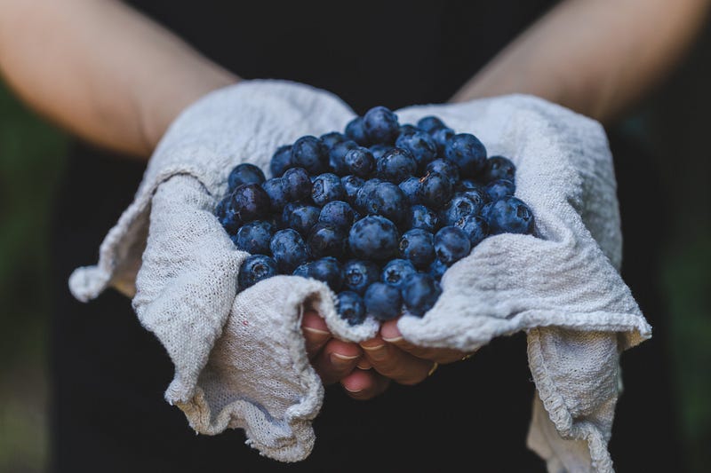 Delicious blueberries, often misrepresented in health claims.